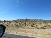 Joshua Tree & Hidden Valley (1).JPG